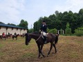 Caccia-a-cavallo-6